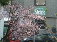 big_30667043_0_200-150